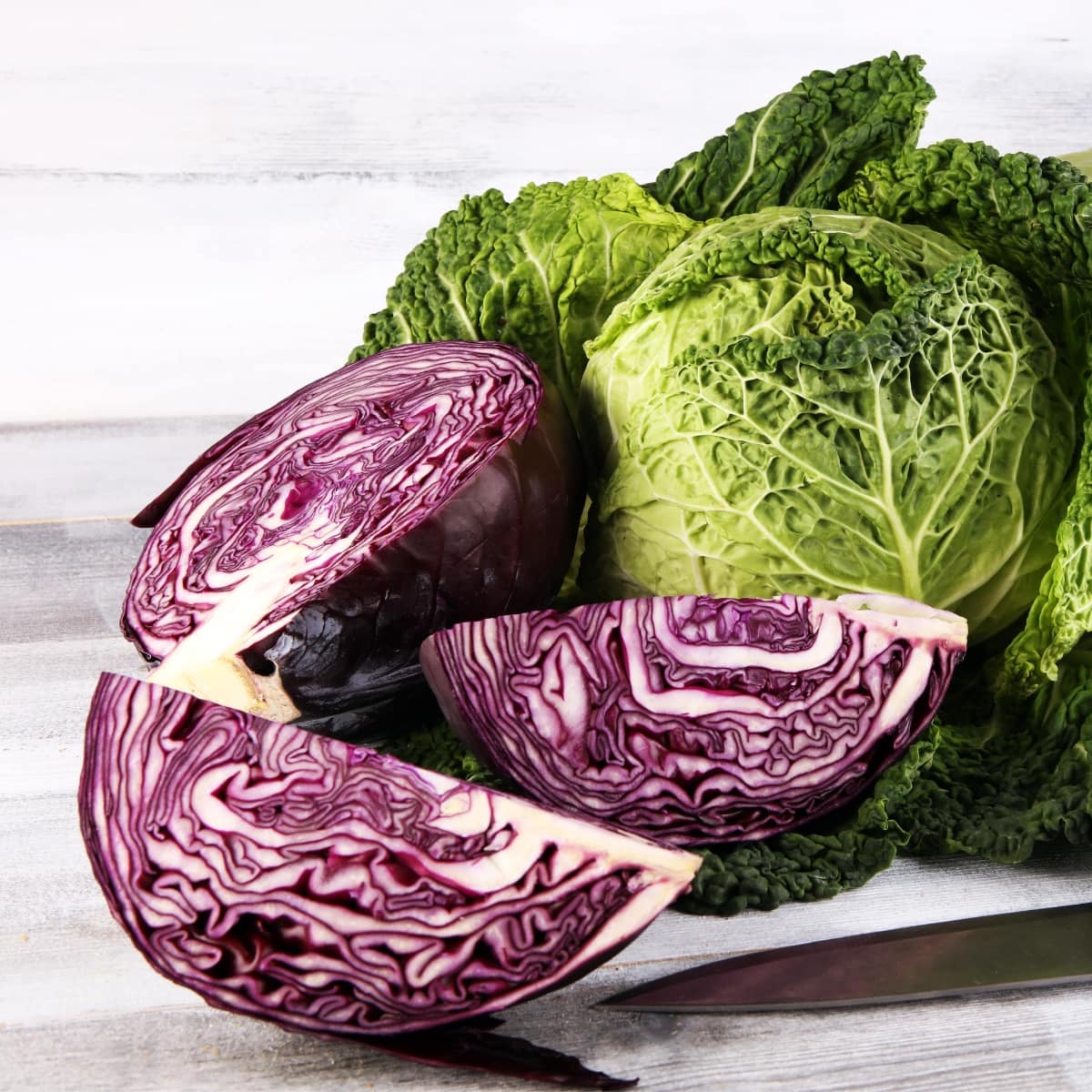 Types Of Cabbage Different Varieties Insanely Good