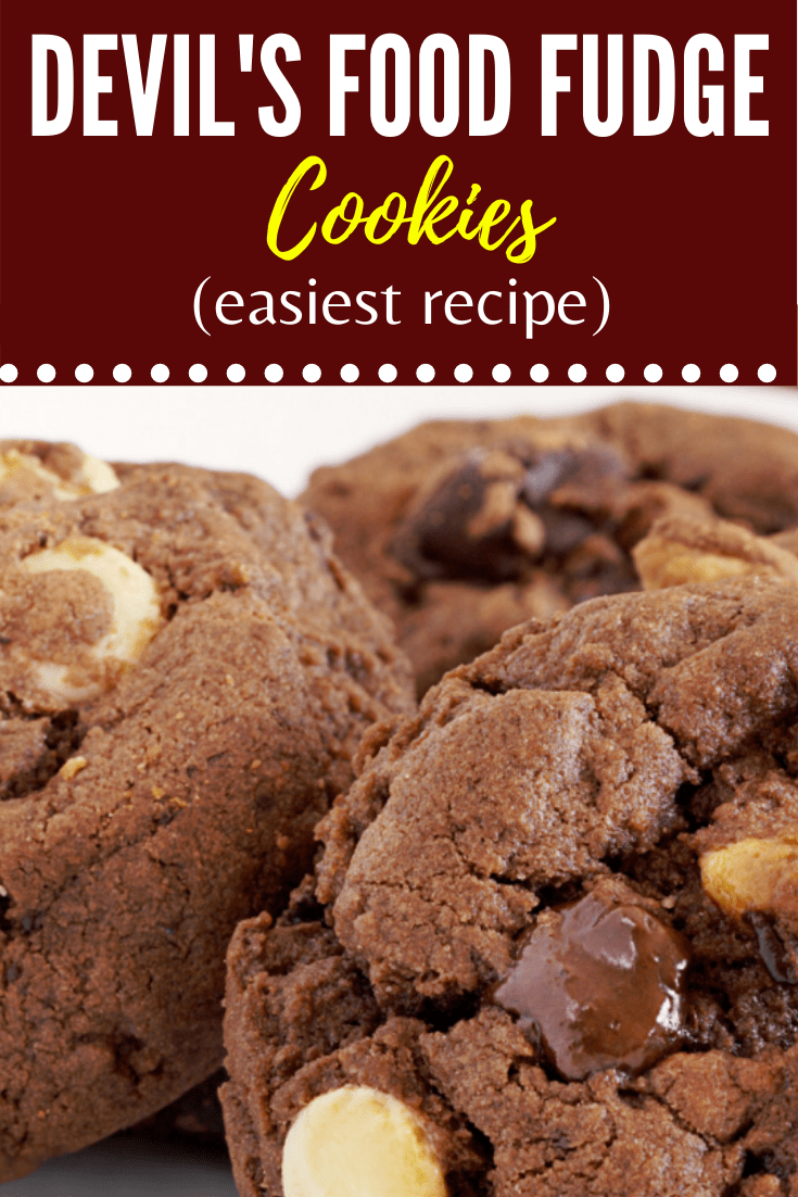 Devil's Food Fudge Cookies (Easiest Recipe) Insanely Good