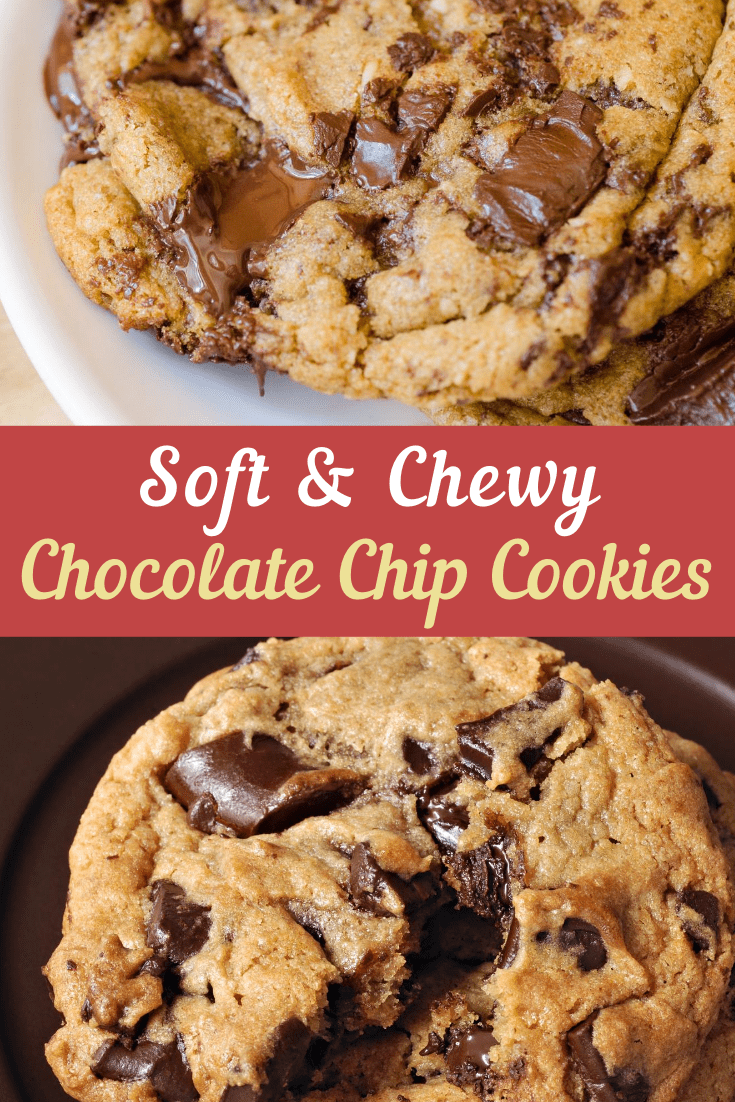 Soft and Chewy Chocolate Chip Cookies - Insanely Good