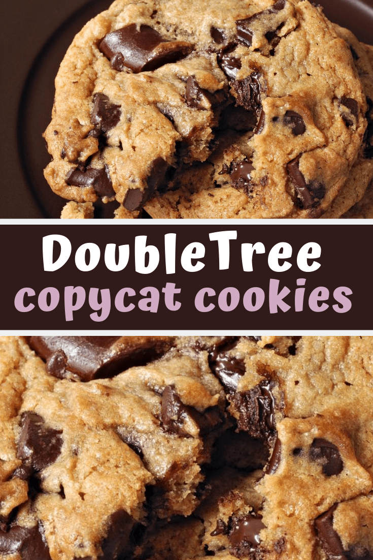 DoubleTree Chocolate Chip Cookie Recipe - Insanely Good