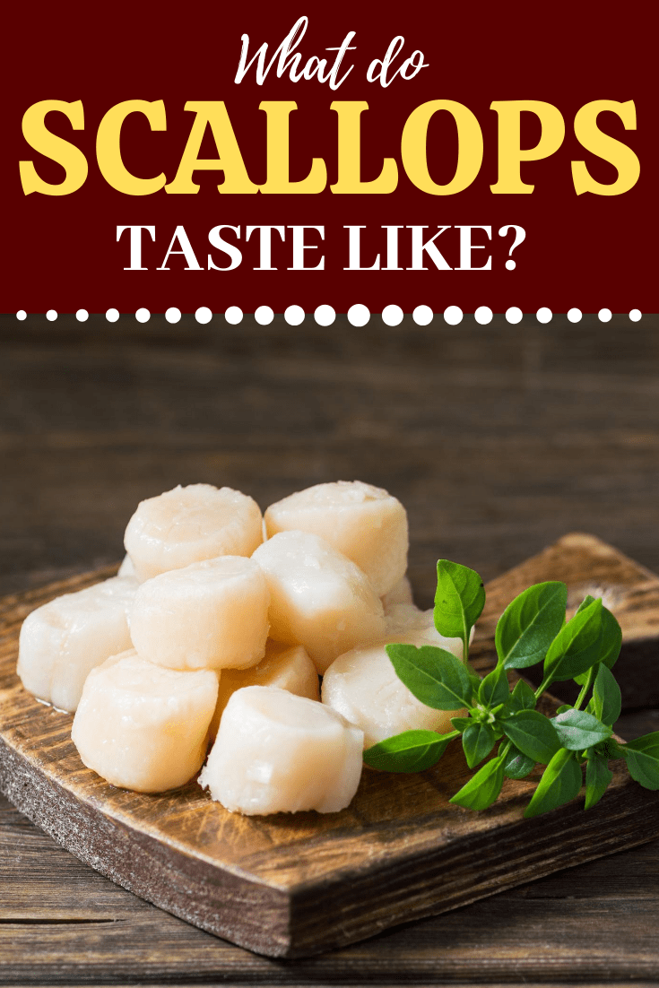 What Do Scallops Taste Like Insanely Good
