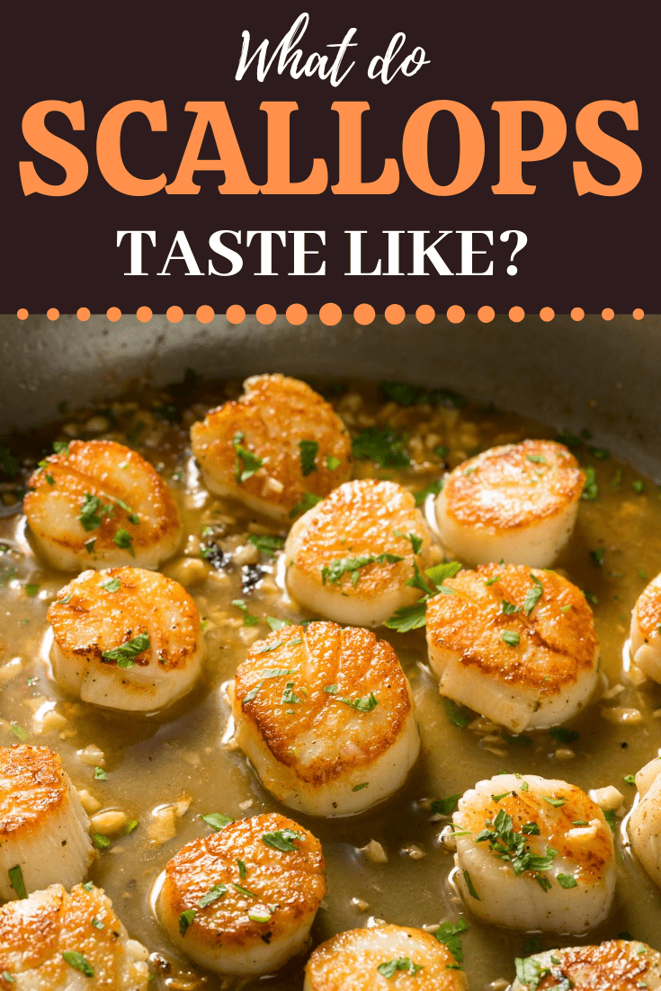 What Do Scallops Taste Like? Insanely Good