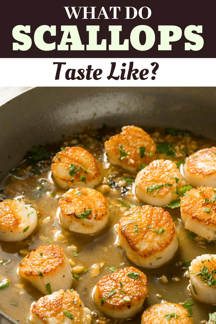 What Do Scallops Taste Like? Insanely Good