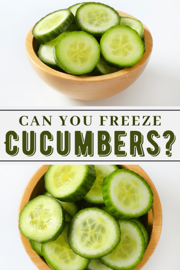 Can You Freeze Cucumbers Insanely Good 5630