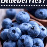 Can You Freeze Blueberries  - 8