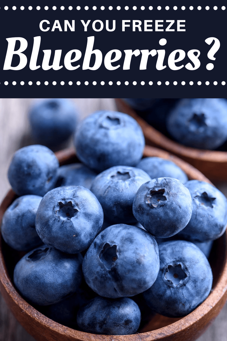 Can You Freeze Blueberries? - Insanely Good