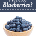 Can You Freeze Blueberries  - 77