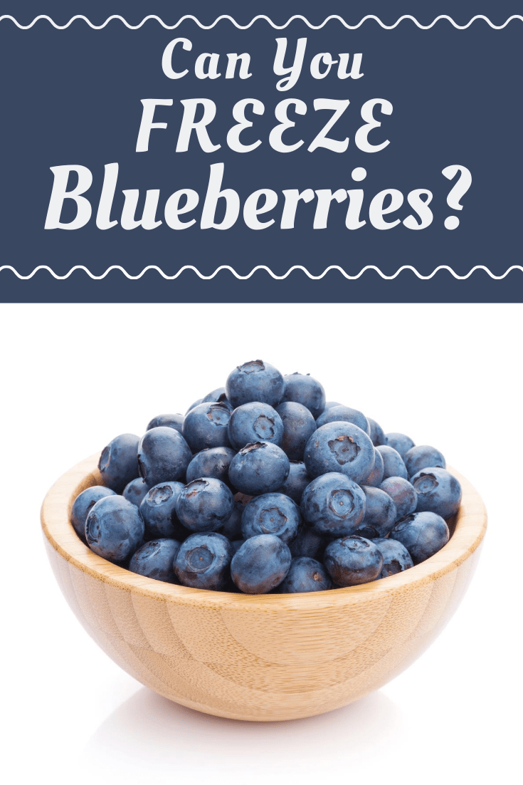 Can You Freeze Blueberries? - Insanely Good