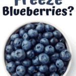 Can You Freeze Blueberries