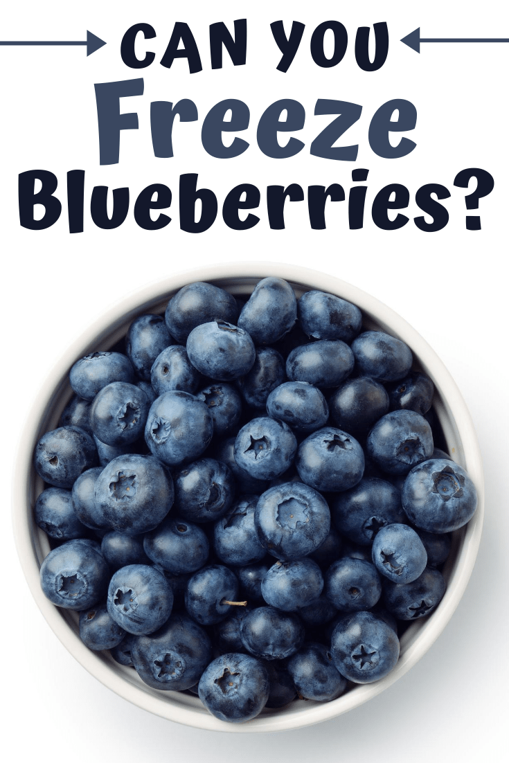 Can You Freeze Blueberries? - Insanely Good