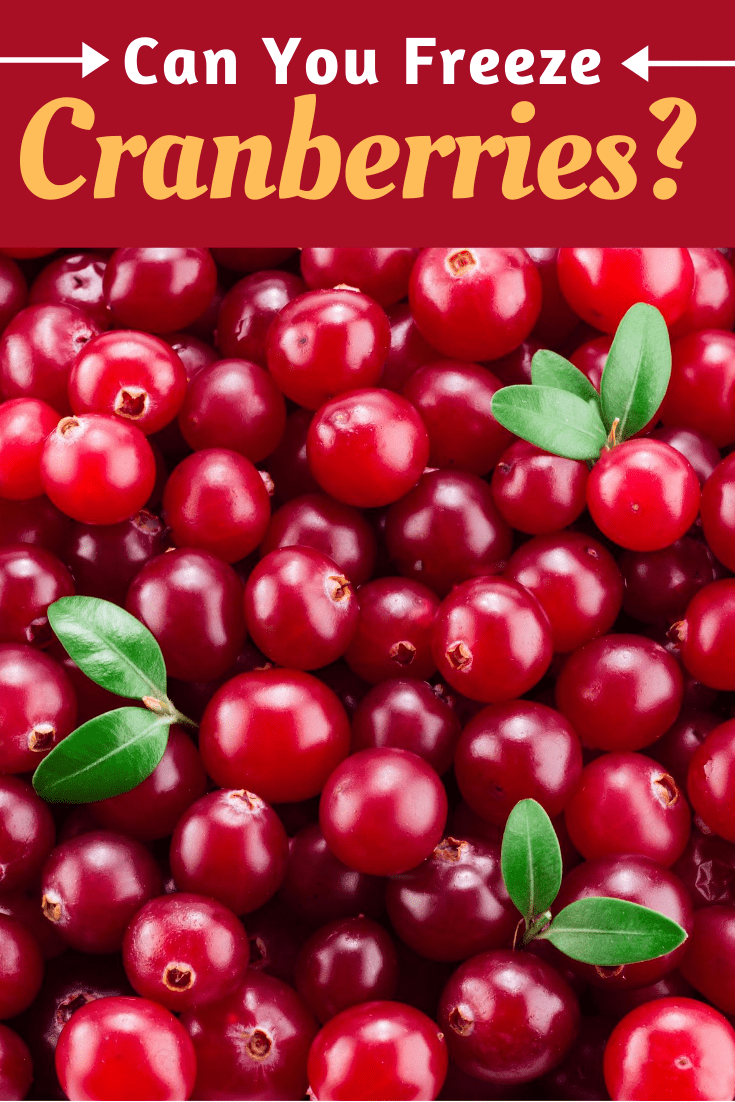 Can You Freeze Cranberries? Insanely Good