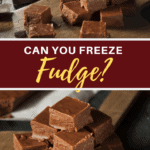 Can You Freeze Fudge