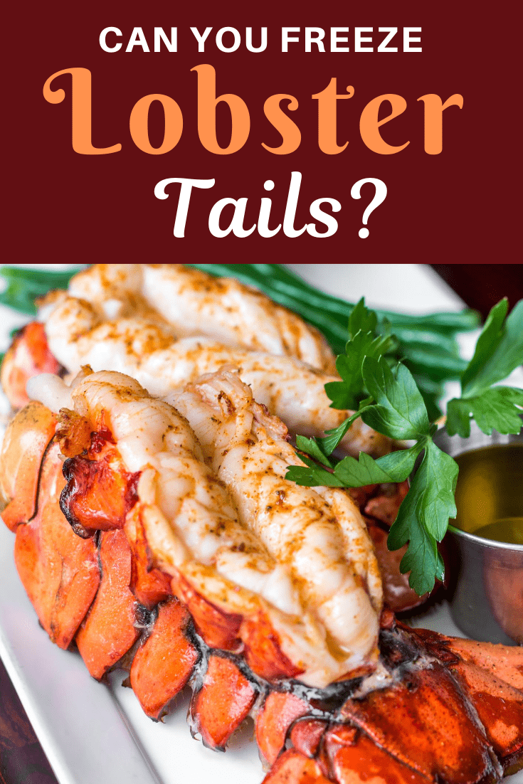 Can You Freeze Lobster Tails? - Insanely Good