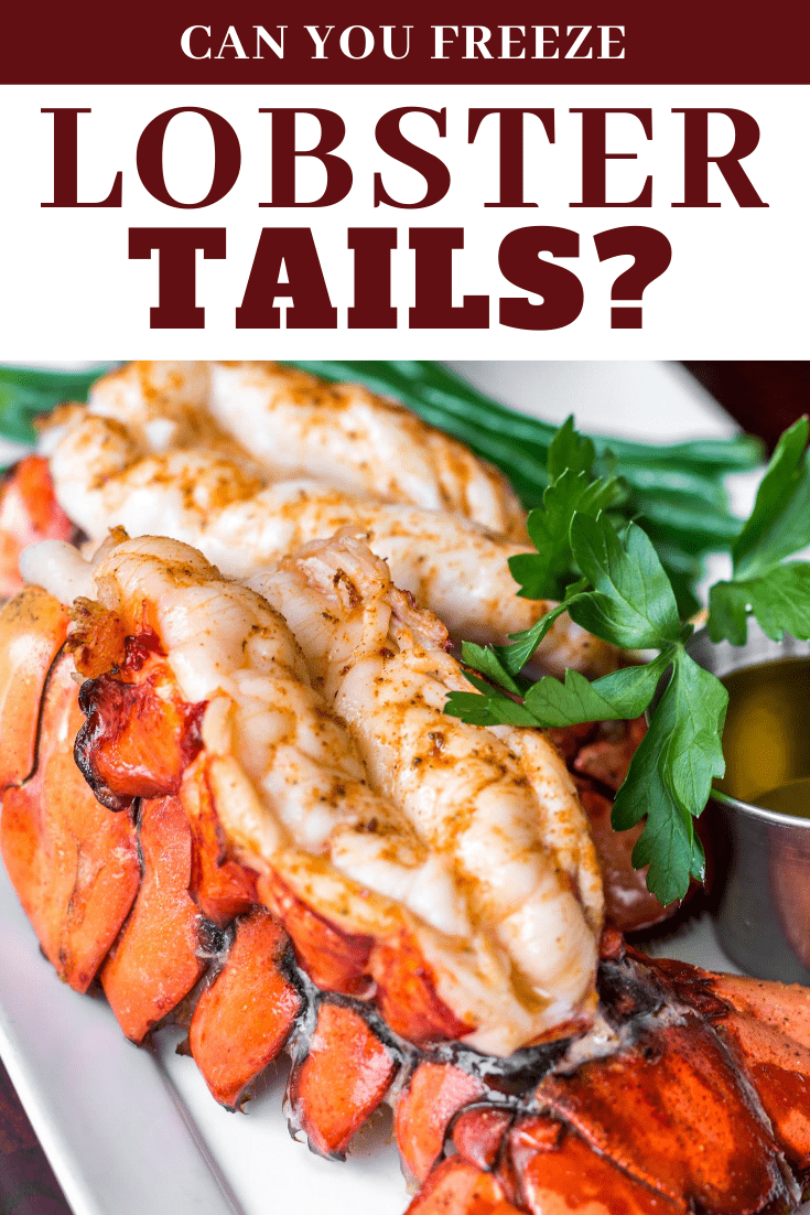 Can You Freeze Lobster Tails? - Insanely Good