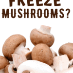 Can You Freeze Mushrooms Insanely Good,Travel Bar Kit