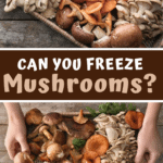 Can You Freeze Mushrooms