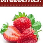 Can You Freeze Strawberries