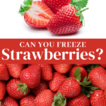 Can You Freeze Strawberries