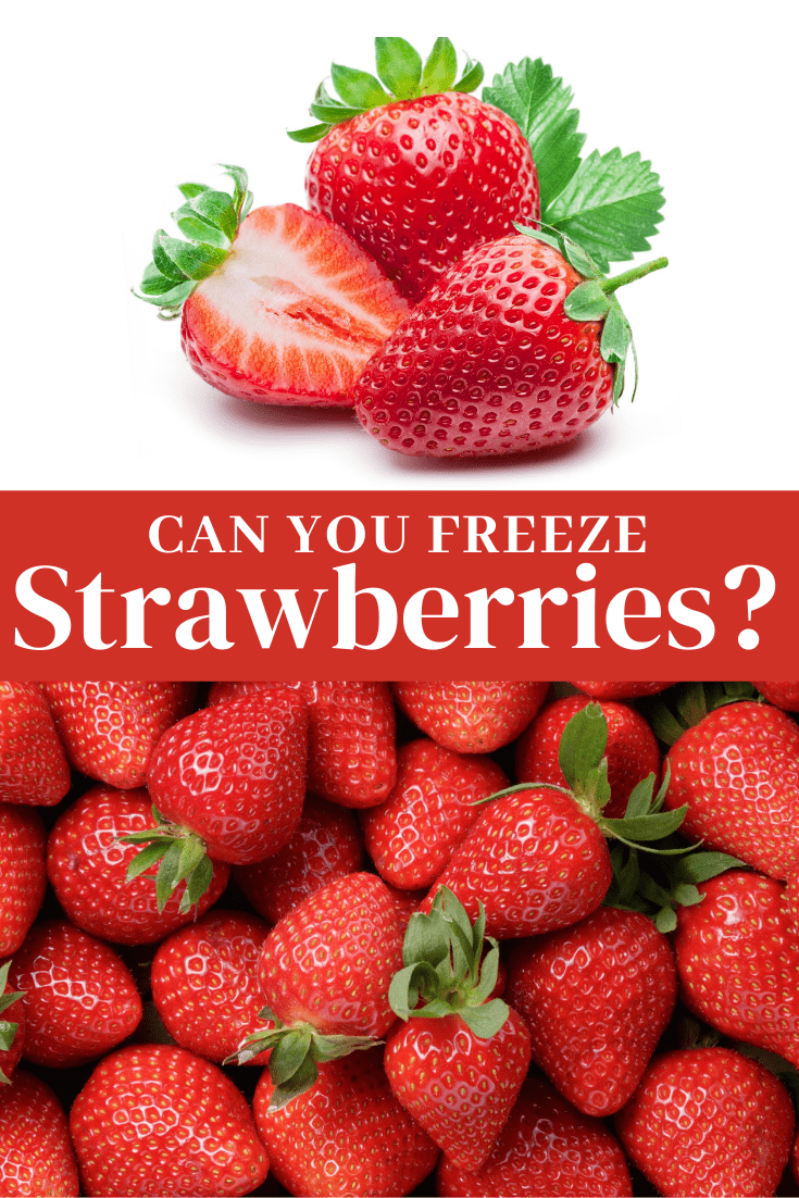 Can You Freeze Strawberries Insanely Good   Can You Freeze Strawberries 4 