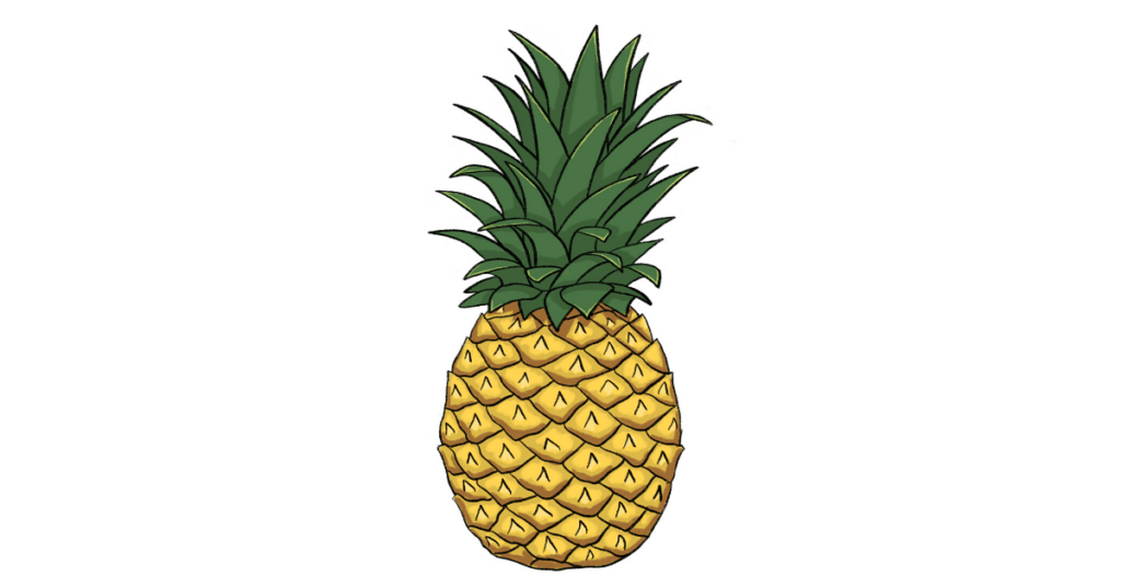 hand drawn pineapple