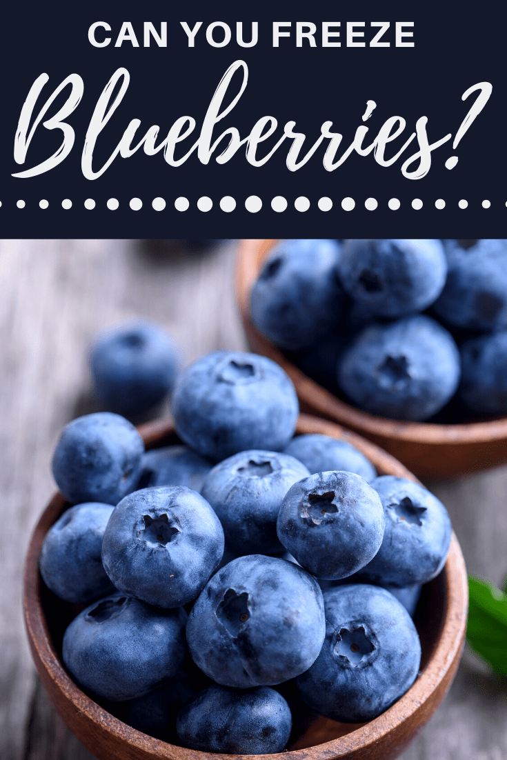 Can You Freeze Blueberries Insanely Good Can You Freeze Blueberries Insanely Good