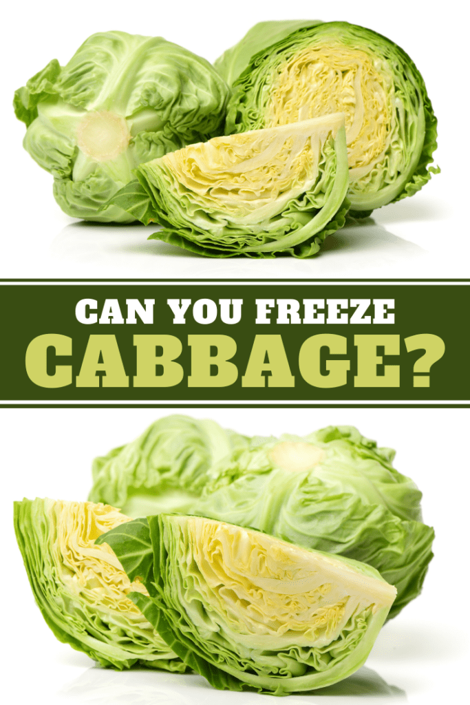 Can You Freeze Cabbage?
