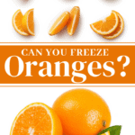Can You Freeze Oranges