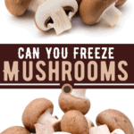 Can You Freeze Mushrooms