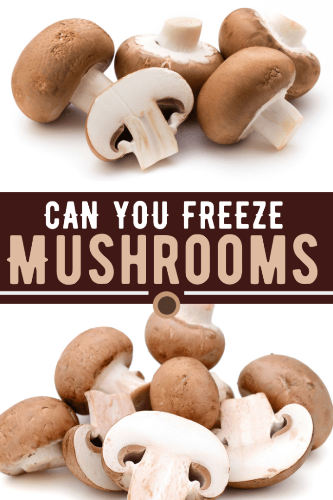 Can You Freeze Mushrooms Insanely Good,Caffeine Withdrawal Symptoms Fever