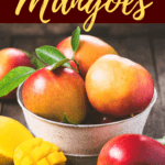 How To Store Mangoes