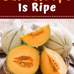 How To Tell If A Cantaloupe Is Ripe
