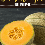 How To Tell If A Cantaloupe Is Ripe