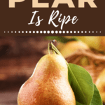 How To Tell If A Pear Is Ripe