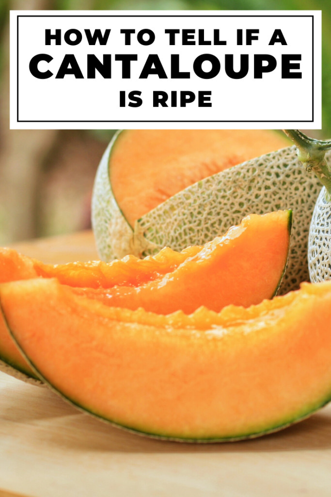 How to Tell If a Cantaloupe Is Ripe