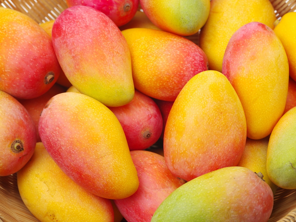 Basket of Mangoes