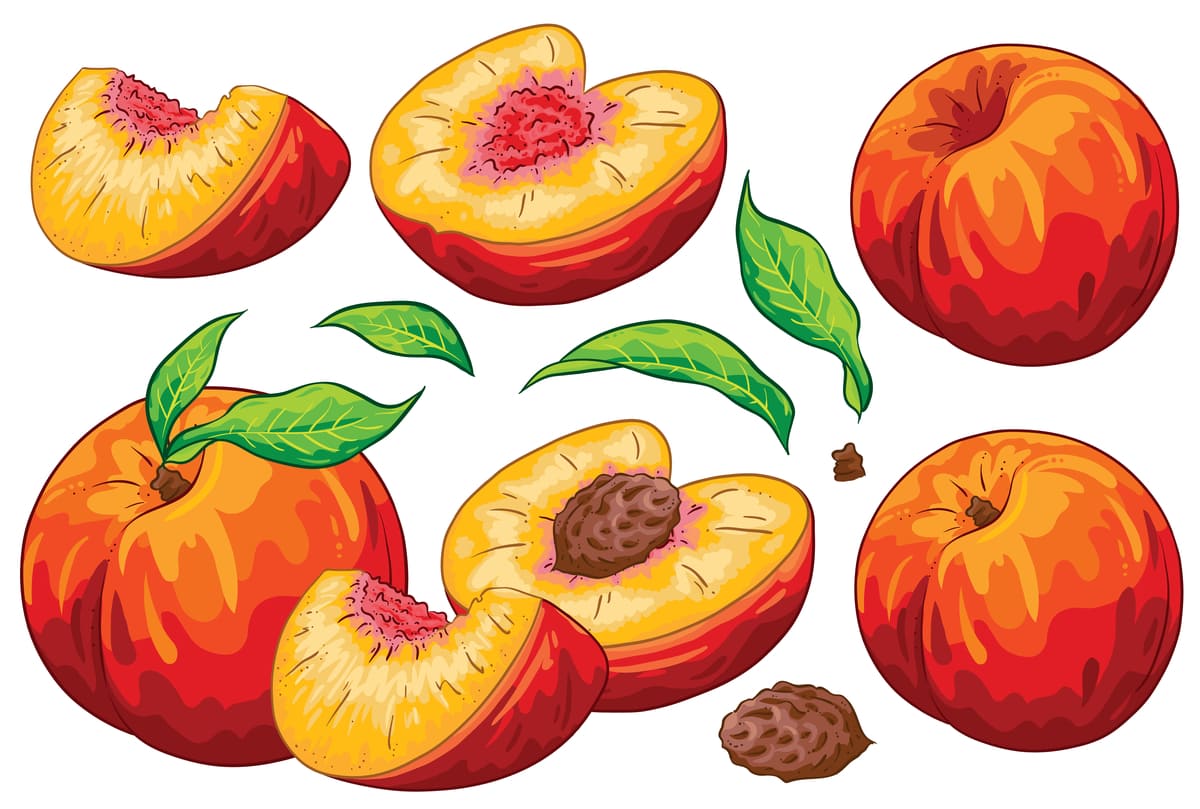 How To Tell If a Peach Is Ripe (3 Simple Ways) Insanely Good