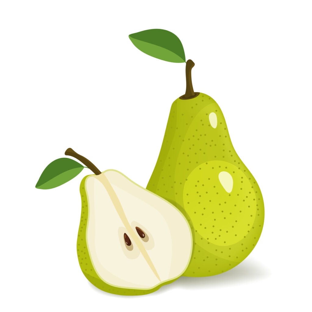 Pear Illustration