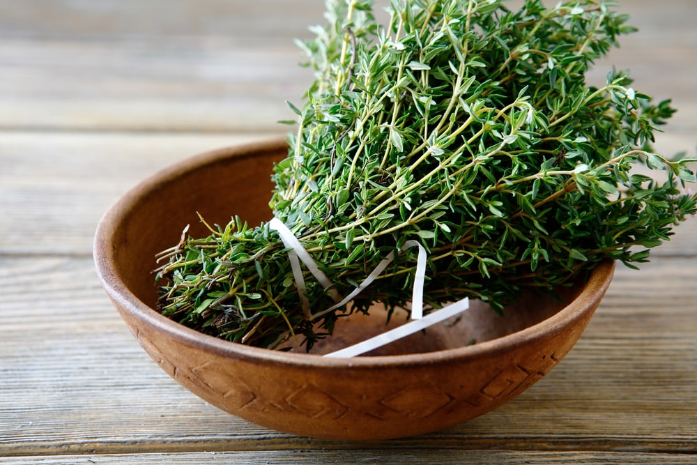 Thyme in a wooden bowl