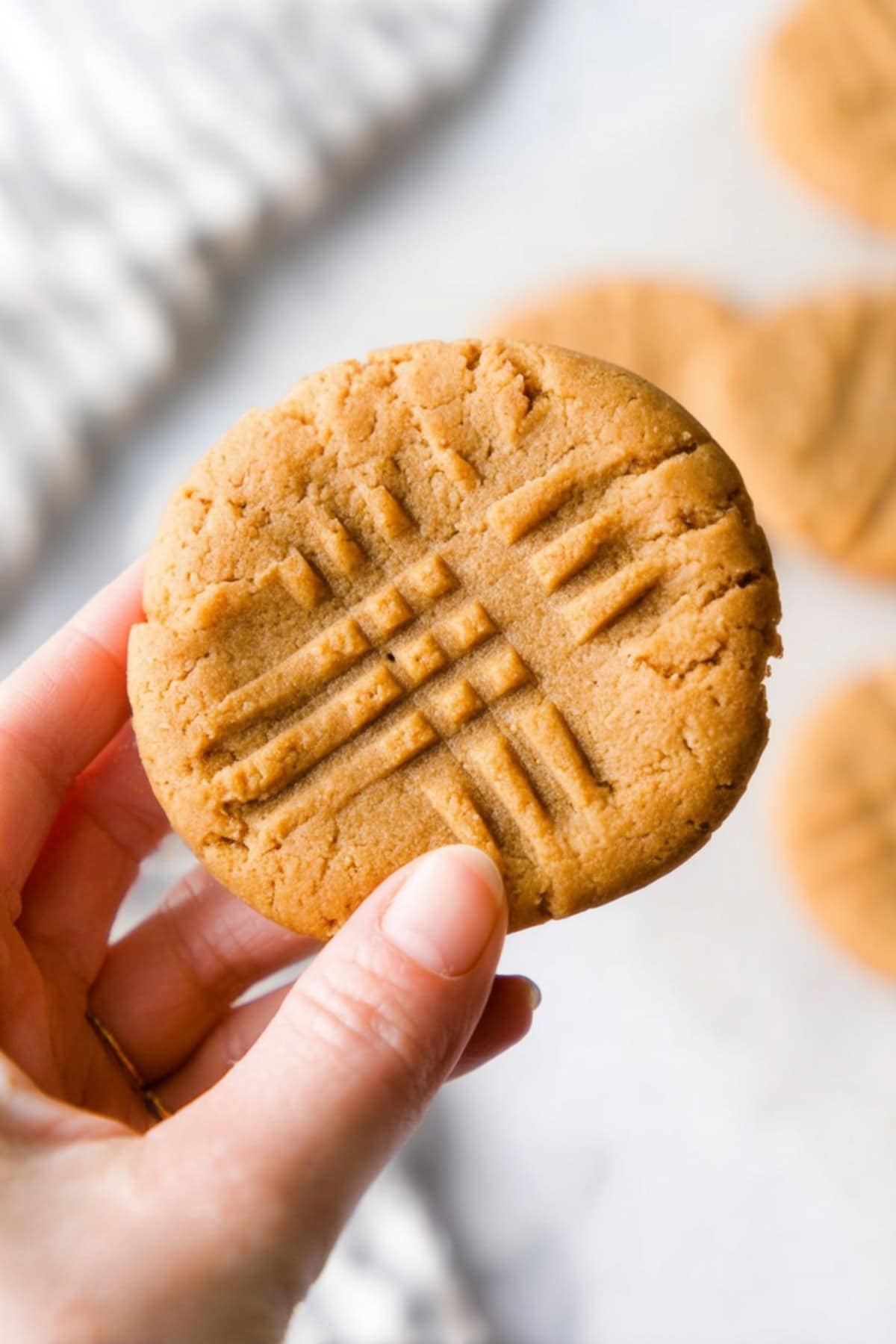 A hand holding a bisquick peanut butter cookie