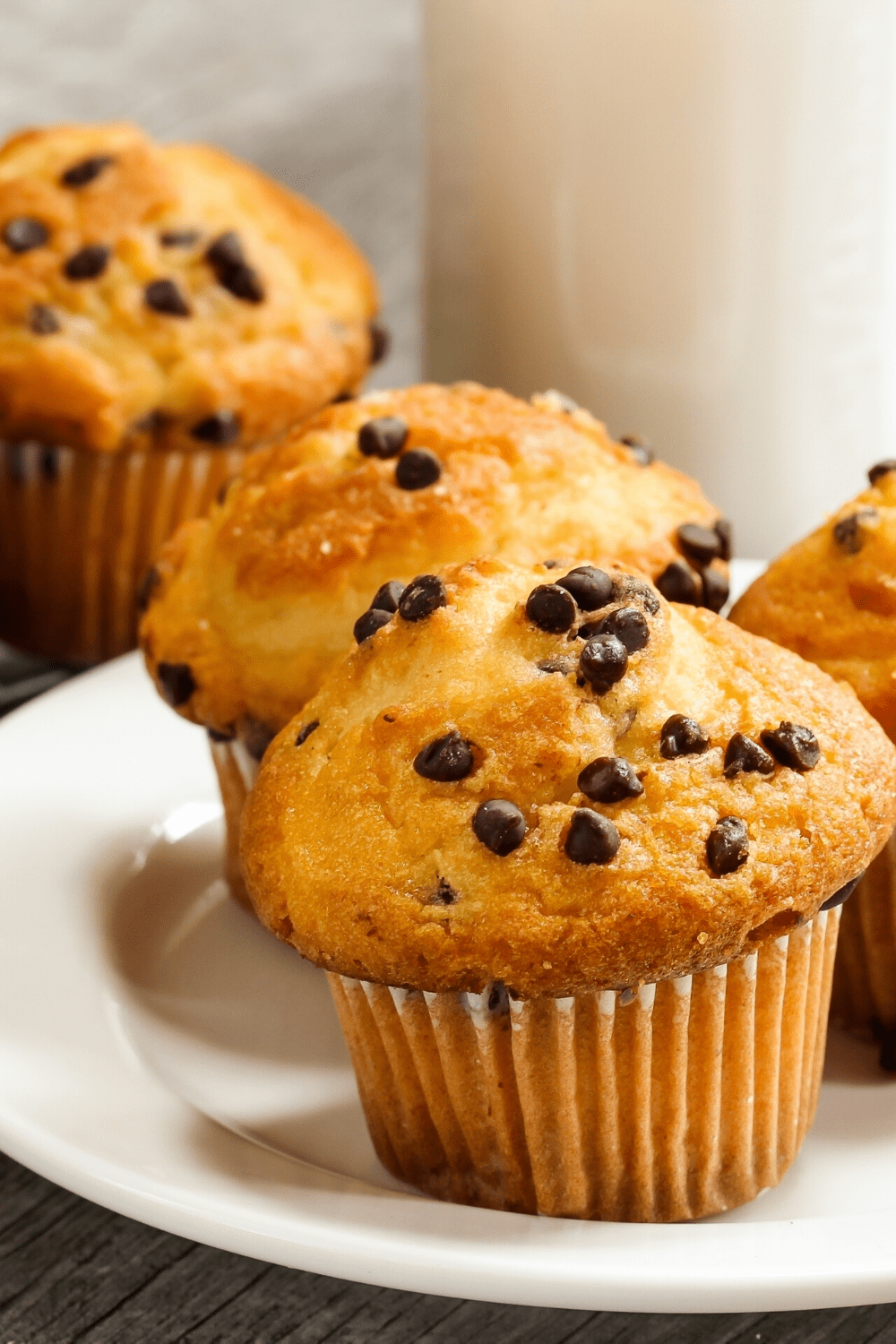 Muffins with chocolate chips on top served on white plate. 
