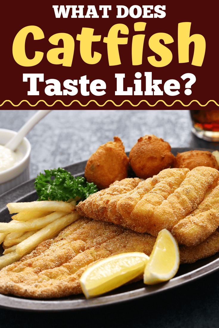 What Does Catfish Taste Like? Insanely Good