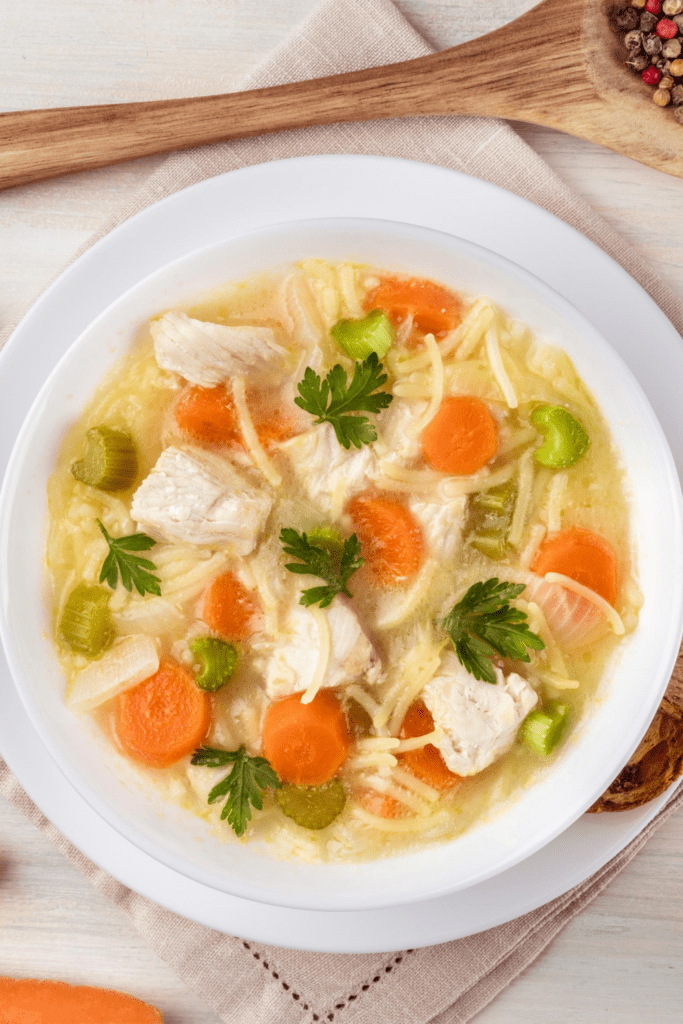 Chicken Noodle Soup with Veggies
