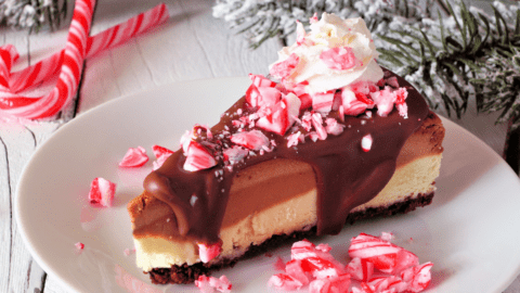 Candy Cane Cheesecake