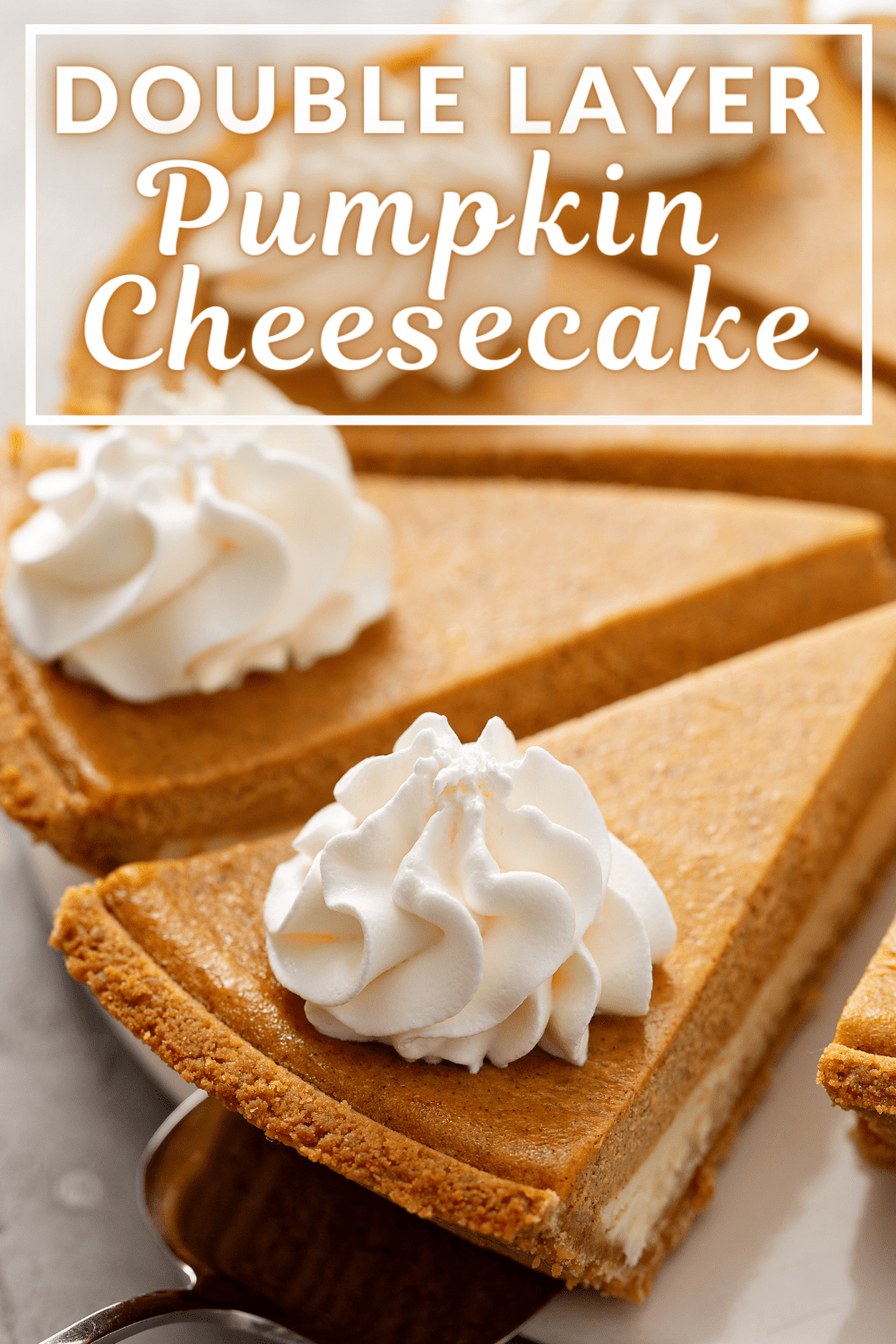 Double Layer Pumpkin Cheesecake - Insanely Good