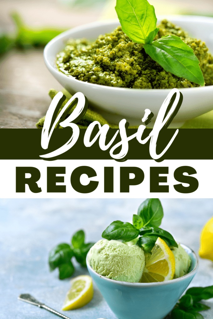 Basil Recipes