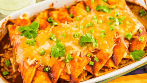 Chicken Enchiladas with Green Onions and Cilantro