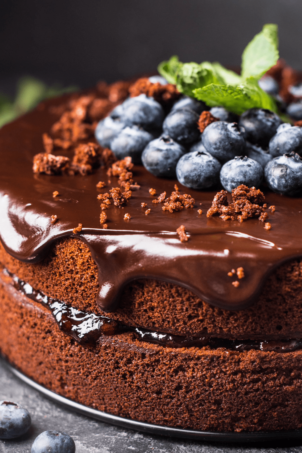 Chocolate Cake with Berry Toppings