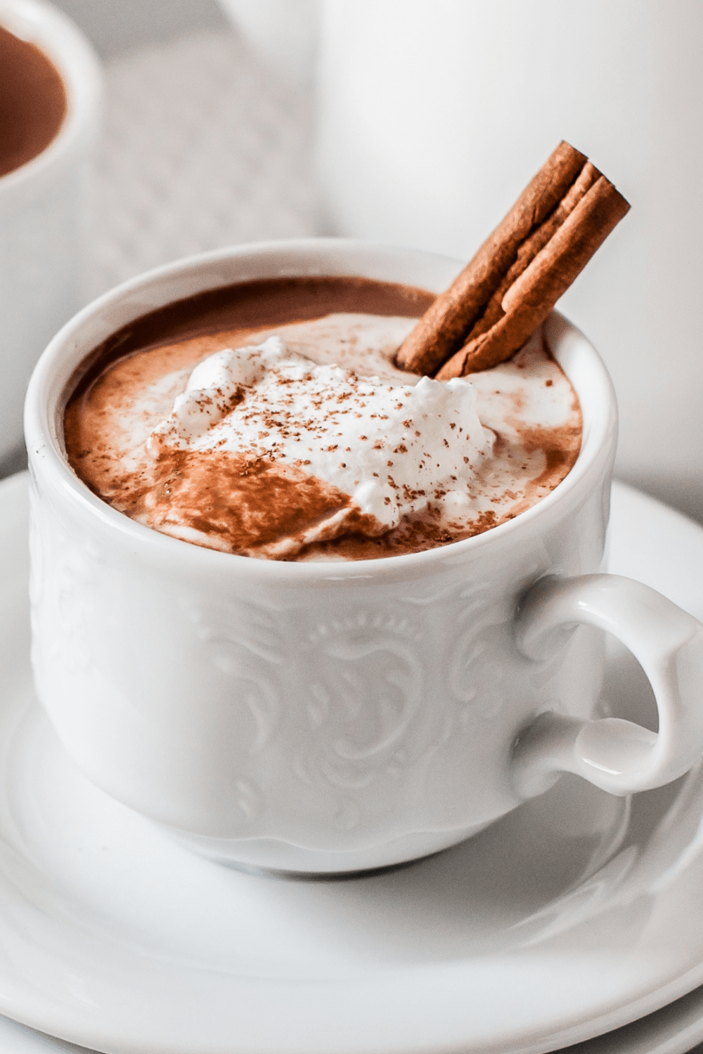 Hot chocolate in a white mug topped with cream and cinnamon sticks.