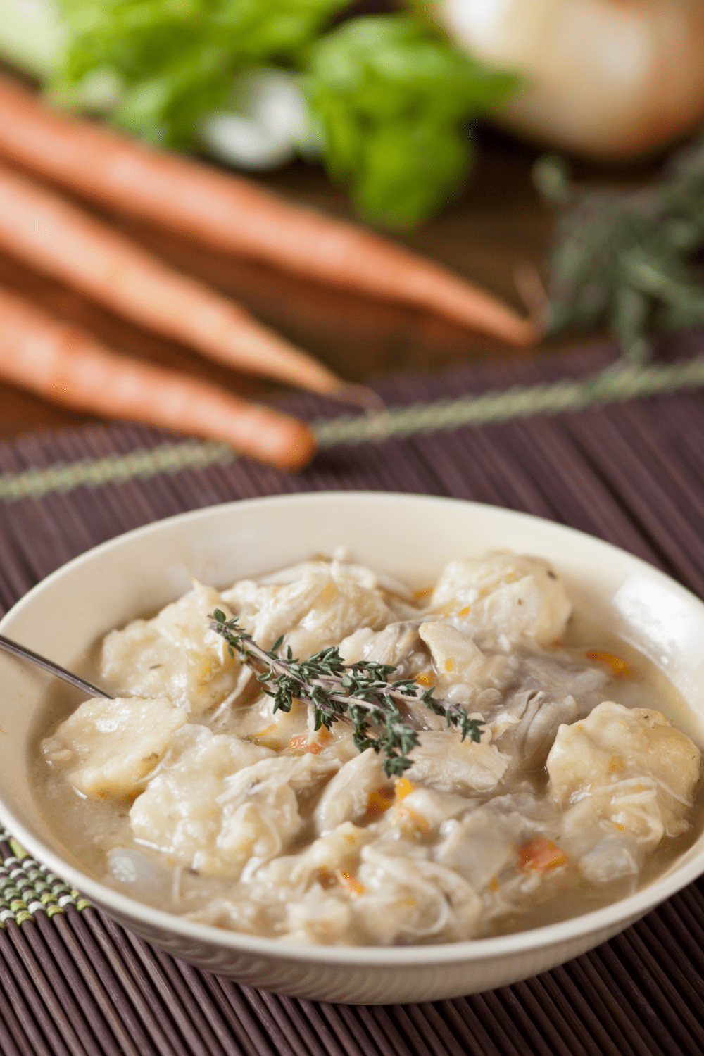Bowl of Chicken and Dumplings