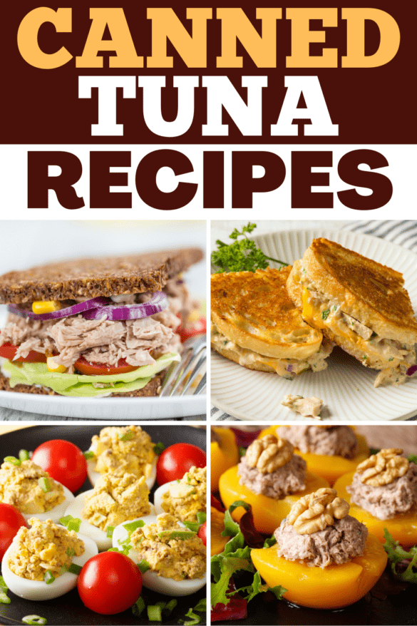 30 Simple Canned Tuna Recipes - Insanely Good